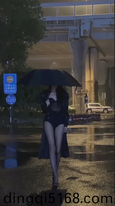 女神异闻录5攻略